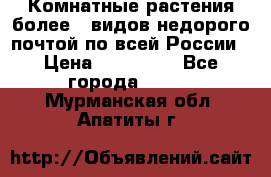 Комнатные растения более200видов недорого почтой по всей России › Цена ­ 100-500 - Все города  »    . Мурманская обл.,Апатиты г.